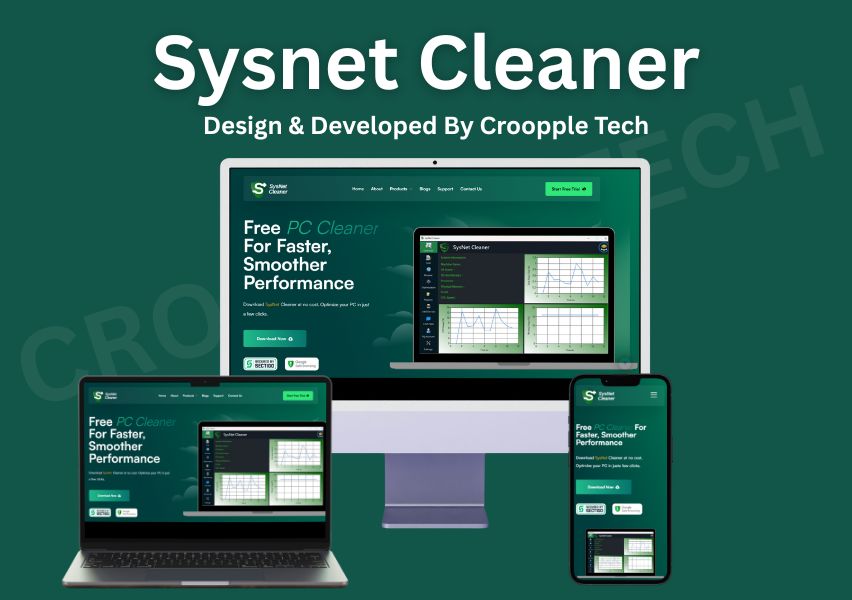 PC Cleaner Software Web Application Project